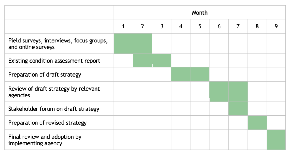 Developing an NMT strategy – ITDP – NMT Toolkit